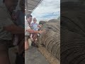 Wildlife Conservation with Dr. Heinrich Vollgraaff, featuring Pneu-Dart