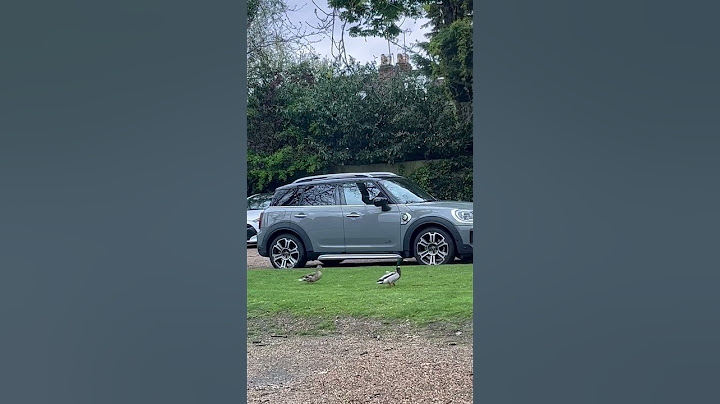 Look, what we saw in a school car park!! #outdoors #surprise #nature #wildlife #rainyday #duck