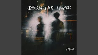 遗憾没能说再见 (氛围版)