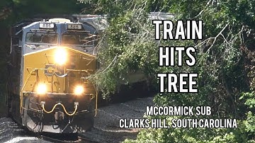 Train Hits Tree 🌳 CSX M693 on the McCormick Subdivision near Clarks Hill, South Carolina- 08-04-2024