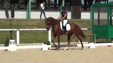 DIMITROFF MT & Laura-Sophie Strobel - 2. WM-Sichtu...