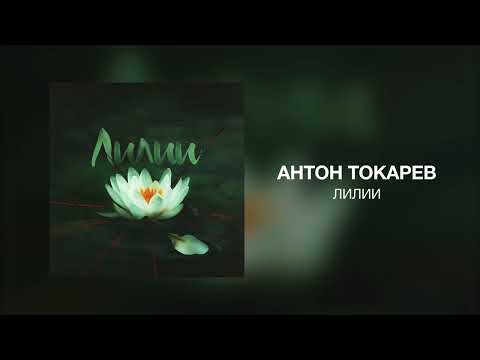 Антон Токарев - Лилии