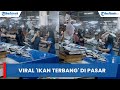 Viral emakemak bertengkar hingga ikan terbang di pasar jadi tontonan