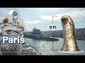 Paris MOST CRAZY Looking Buildings & Sculptures | France