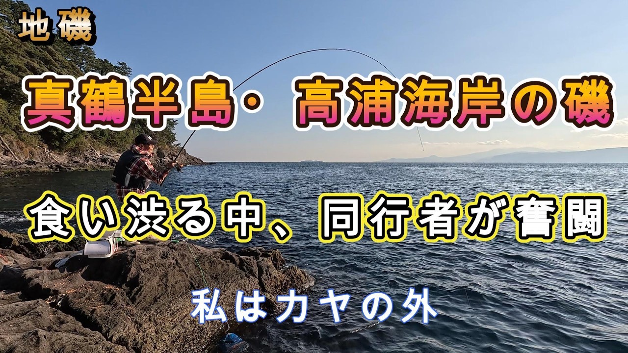 真鶴半島～高浦海岸の磯でのメジナ釣り