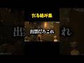 だる絡み集 #gtarp #グラセフ #ゲーム実況
