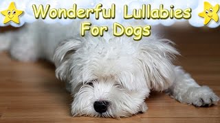 Super Relaxing Sleep Music For Maltese Dogs Puppies ♫ Calm Relax Your Dog ♥ Lullaby For Animals Pets