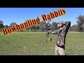 Hunting Rabbits with a compound bow