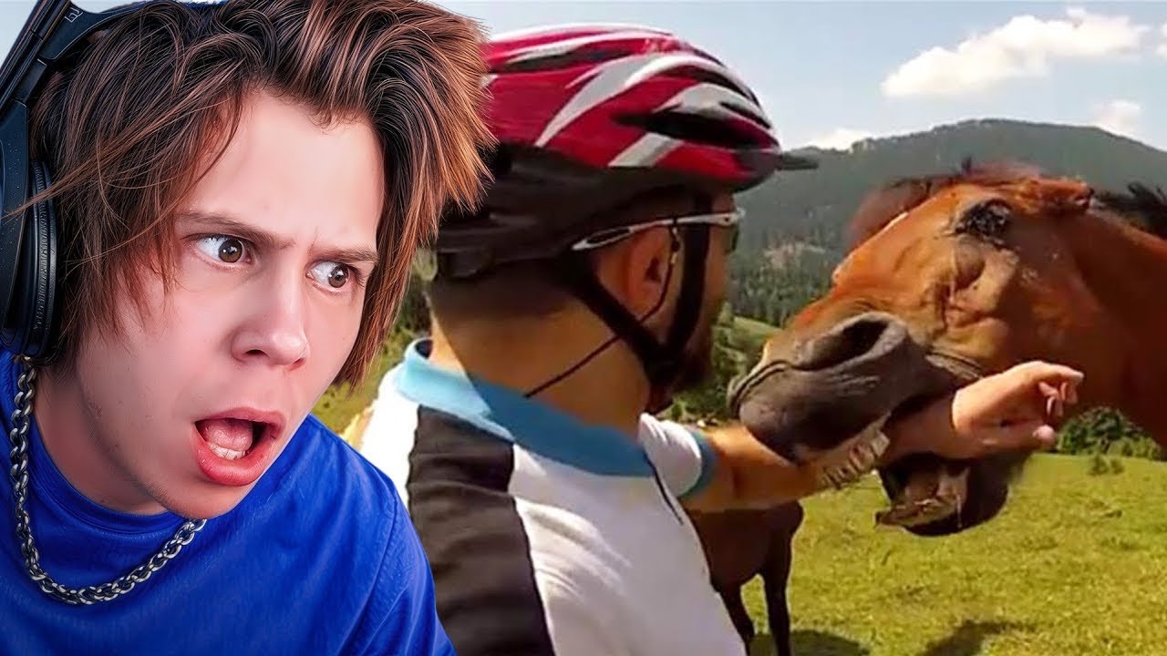 Rubius reacciona a Videos de Animales Random 🤣