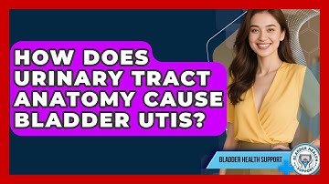 How Does Urinary Tract Anatomy Cause Bladder UTIs? - Bladder Health Support