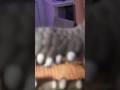 Пранк на д котом