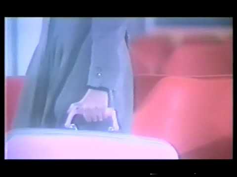 林志美 - 冷戰
