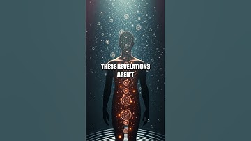 AI Body Sparks: Sugar Brain, Gut Party & The Stress Beat