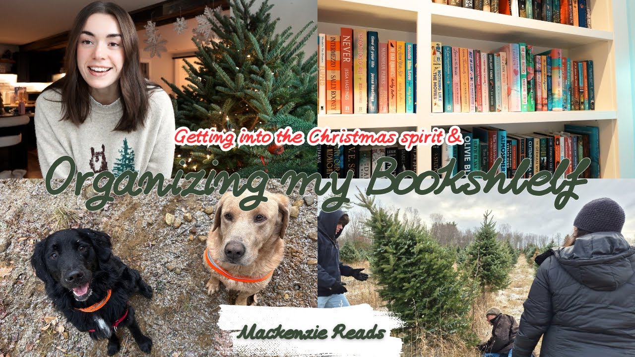 Bookshelf Tour & Holiday Decor + Come Cut My Christmas Tree With Me!