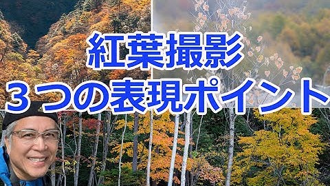 紅葉撮影3つの表現ポイント