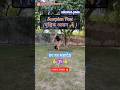 #advance #yogapose #vrishchik #asana #chakrasana #yoga #shorts #ytshorts #vinitraofitness 🕉️💪