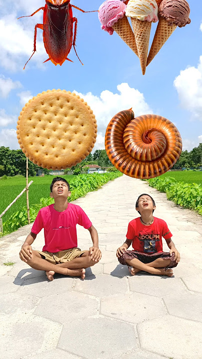 Tu Radha meri mia shyam Tera ye jodi na pabe jamane me 💞 ❤️ 💞 two brothers eating challenge