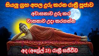  2026  24             Night Chants