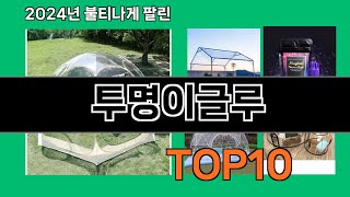 투명이글루 2025 최강 쿠팡 추천 Top 10