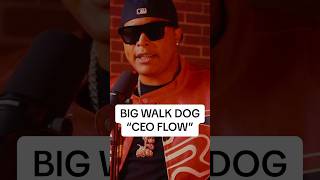 BIG WALK DOG IS ON 🔥🔥🔥🔥 #rap #freestylerap #hiphop #memphis #thenew1017 #bigwalkdog