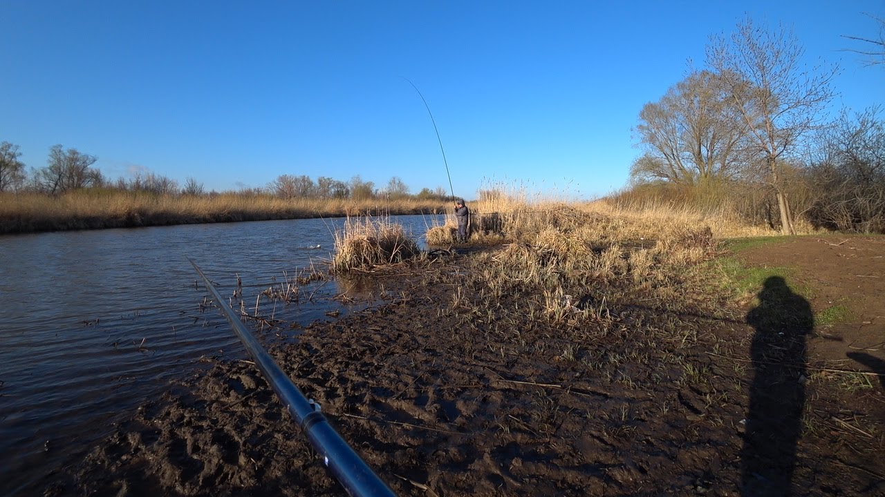 ЭТОТ ЗАЛИВ ЗАБИТ РЫБОЙ. КАРАСИ-ЛАПТИ НА ПОПЛАВОК. Рыбалка на карася ...