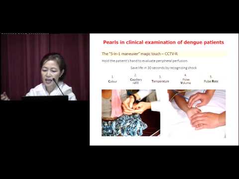 Clinical Course and Principles of Management of Dengue - Prof Lucy Lum