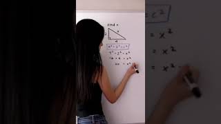 The Pythagorean Theorem