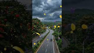 Nature’s Most Beautiful Warning #peaceful #peacefulvibes #shorts#calmvibes#peace #relaxing#trending