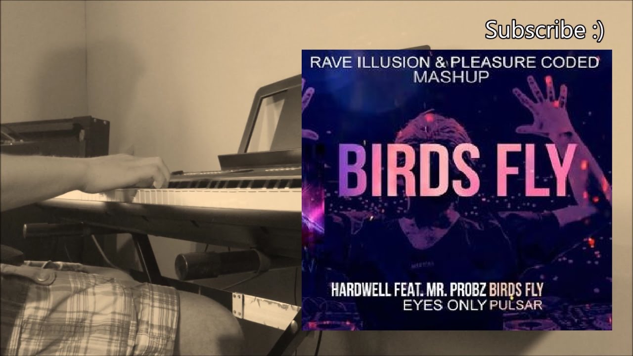 Hardwell ft Mr Probz - Birds Fly (NiZerO Piano Cover)