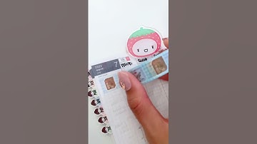 ✨Set Up in Hobonichi A6 - 29th Week (memory planning)