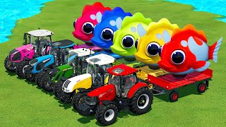 CASE vs CLAAS vs FENDT vs LANDINI vs STEYR TRACTORS BATTLE WTIH GIANT FISH  FS 22