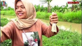 Download lagu Midua Cinta#PUTRA MEKAR JAYA#Live Pasirsenang