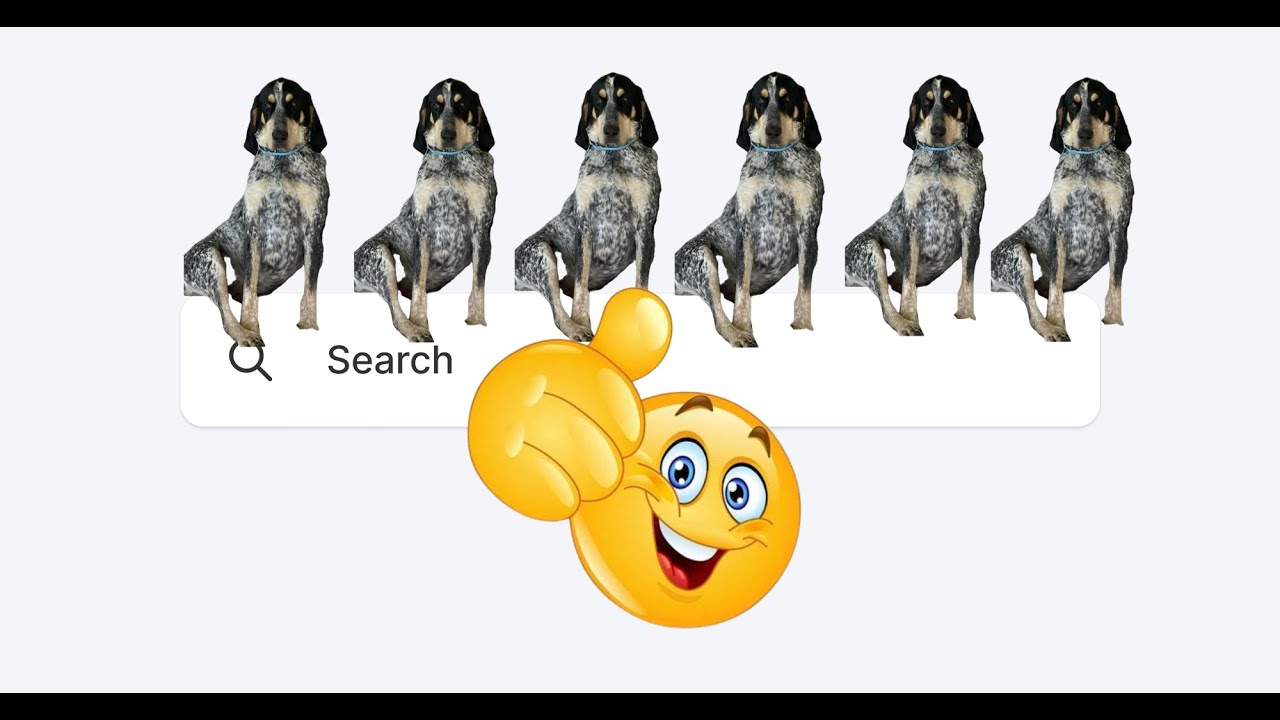 Website Custom Embedded Search Bar Tutorial - YouTube