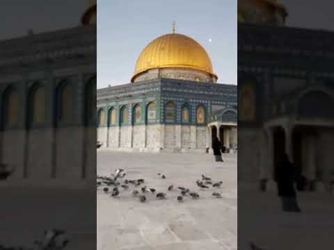 اي يطول الهجر وابقي دون لقاء