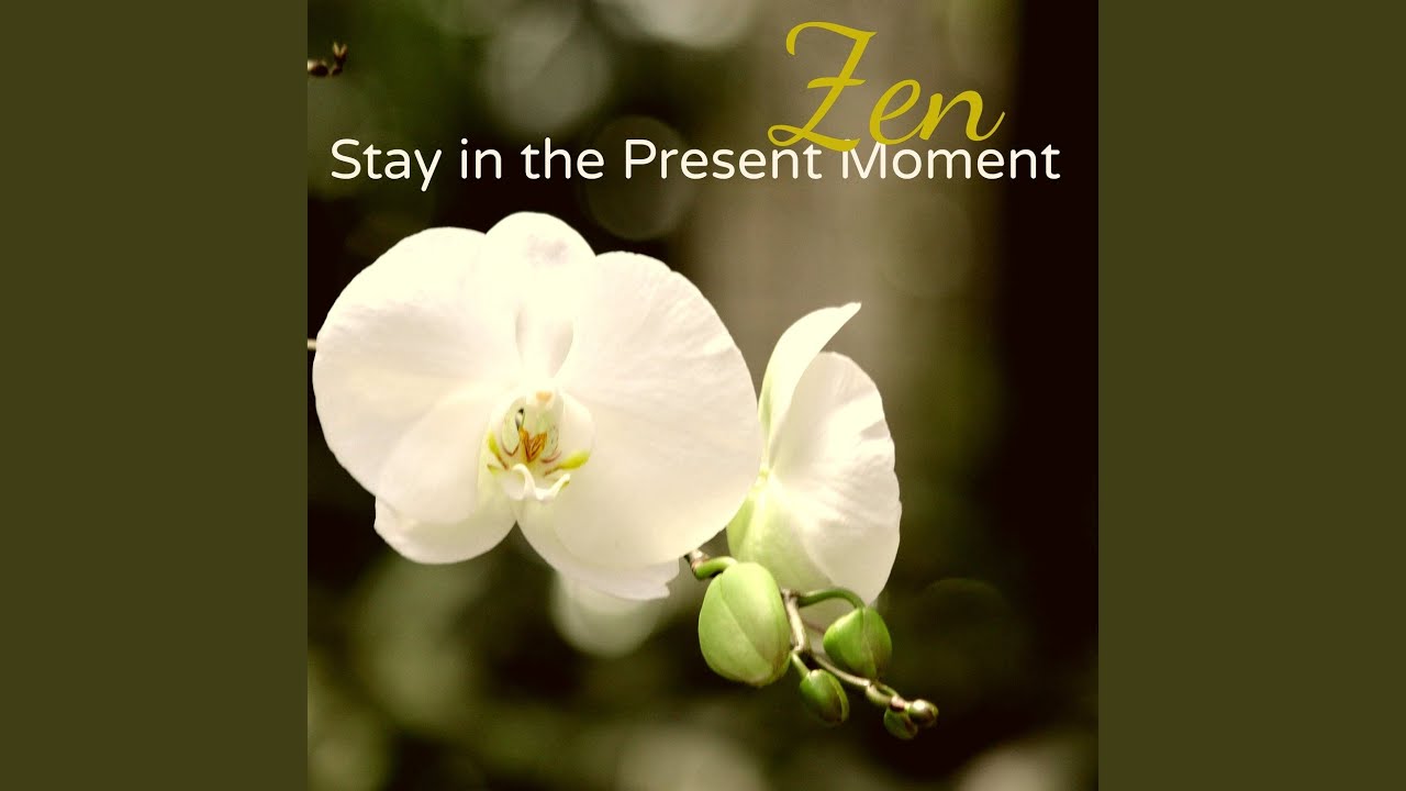 Watch Spa Essentials on YouTube Watch Spa Essentials on YouTube