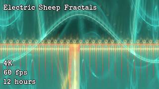 Electric Sheep Fractals 4K 60fps 12 hours ambient animation