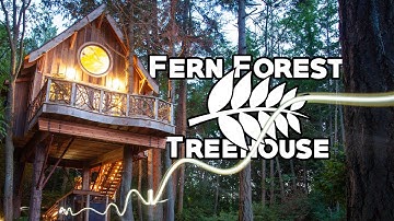 Secret Treehouse in San Juan Islands
