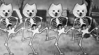 Spooky Scary Dogs