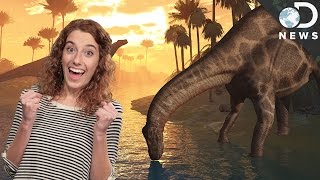 4 Things You Got Wrong About Dinosaurs 4 Things You Got Wrong About Dinosaurs