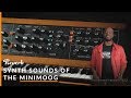 Ep20: Synth Sounds of Minimoog: Parliament, Pink Floyd, Dr. Dre & More | Reverb