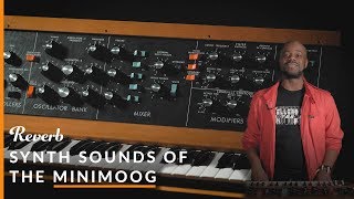 Ep20: Synth Sounds of Minimoog: Parliament, Pink Floyd, Dr. Dre & More | Reverb