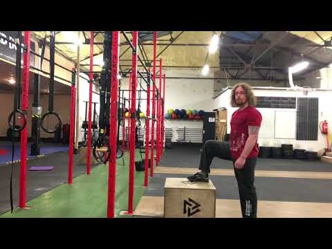 Quad Dominant? Use the Box Step Up to Train your Hamstrings!