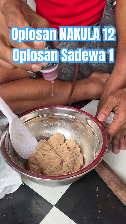 Oplosan baru adun mancing Nakula 11 Sadewa 1 #adunmancing #shortvideo#umpanjitu #mancingmania