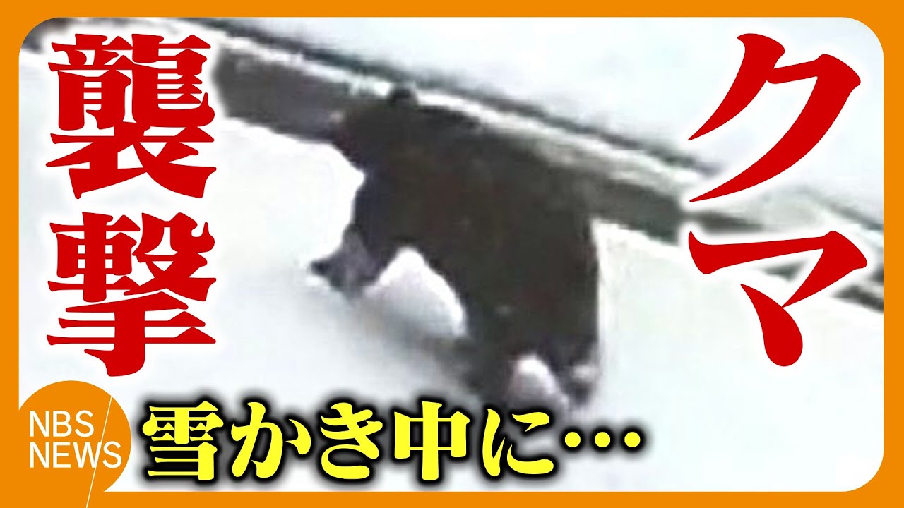 Bear! Bear! Bear! Hey!