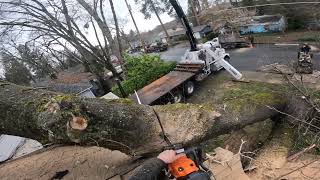 Huge Oak Crushes House! (Clips from my point of view)