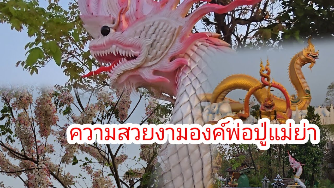 สุดอึ้งเช้านี้ที่วังองค์พ่อปู่เจออะไร#ป้าแต๋นชาเเนล 