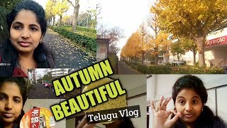 VLOG: going to  JAPANESE CLASS. ENJOY BEAUTIFUL AUTUMN SEASON