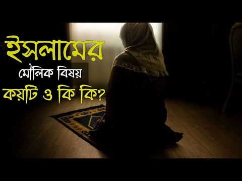 ভিডিও: 6টি মৌলিক গ্রাফ কি কি?