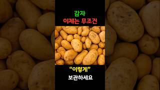 감자 보관 방법 싹안나게 보관하기