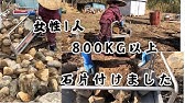 温泉cm 日本 Booking Com Cm 女友達3人が温泉で癒される旅 Youtube 温泉cm 日本 Booking Com Cm 女友達3人が温泉で癒される旅 Youtube